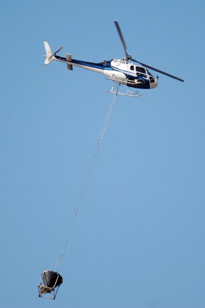 Der Wald um Wingsbach wird gekalkt