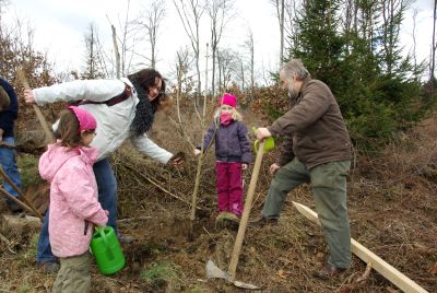 Merle hat Hilfe von Werner