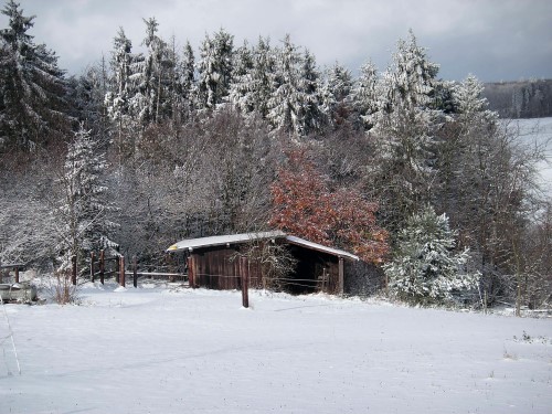 Winter 2005